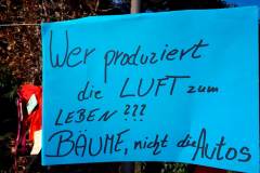 Baumgalerie-26