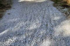 Radweg-B51-3